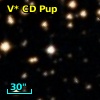 V* CD Pup