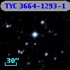 TYC 3664-1293-1