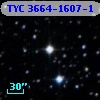TYC 3664-1607-1