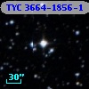 TYC 3664-1856-1
