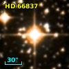 HD  66837