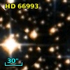 HD  66993