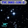 TYC 3665-136-1