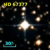 HD  67377