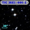 TYC 3665-444-1