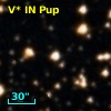 V* IN Pup