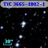 TYC 3665-1002-1