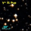 V* IS Pup