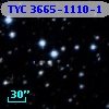 TYC 3665-1110-1