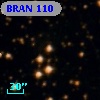 BRAN 110
