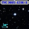 TYC 3665-1216-1