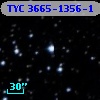 TYC 3665-1356-1