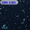 LDN 1265