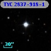 TYC 2837-918-1