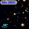 NSV  3955
