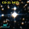 CD-31  5475