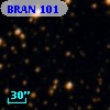 BRAN 101