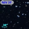 NSV    37