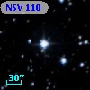 NSV   110