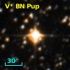 V* BN Pup