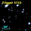 Trigger  5723