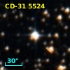 CD-31  5524