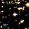 V* V572 Pup