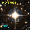 HD  67036