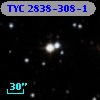 TYC 2838-308-1