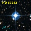 HD  67242