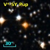 V* SY Pup