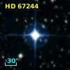 HD  67244