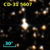 CD-31  5607