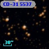 CD-31  5537