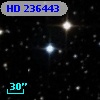 HD 236443