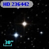 HD 236442
