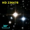 HD 236478