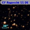 Cl* Ruprecht   55     DE      14