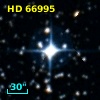 HD  66995