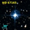 HD  67165