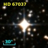 HD  67037