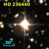 HD 236440