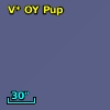 V* OY Pup