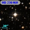 HD 236460