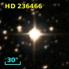 HD 236466