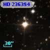 HD 236384