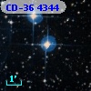 CD-36  4344
