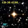 CD-36  4190