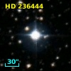 HD 236444