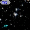 TYC 7133-538-1